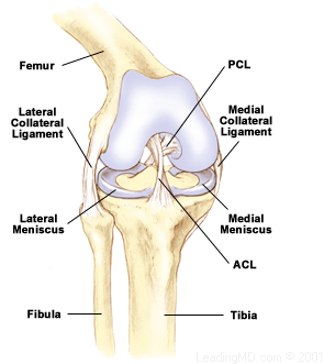 knee injury meniscus tear