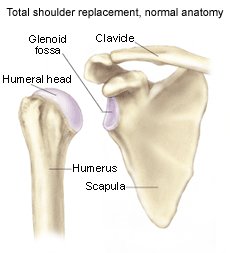what is glenohumeral arthritis