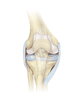 https://www.thesteadmanclinic.com/files/pluginfiles/item_466/field_182/xACL_reg.gif.pagespeed.ic.cQonrS9i-w.png