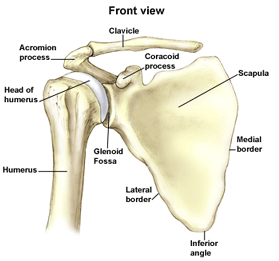 Frozen Shoulder